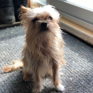 Meet your Posher, Mary